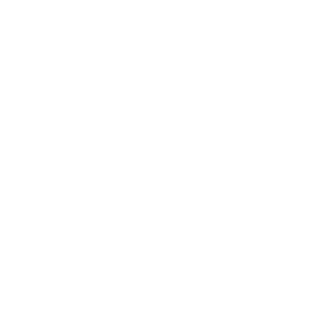 Theodore Roosevelt Presidential Library Logo